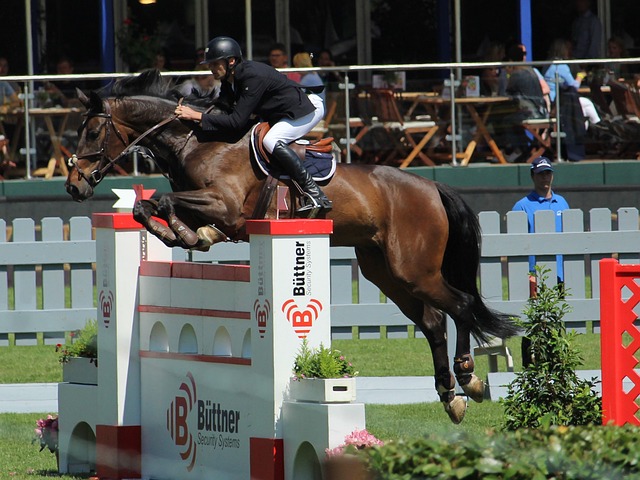 代表性的赛 代表性的赛