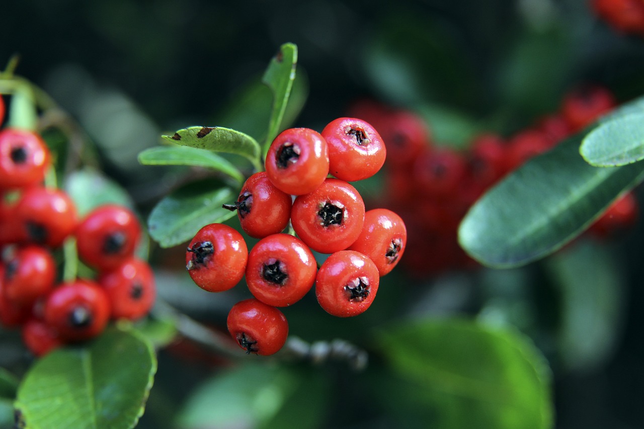 也不乏失敗 也不乏失敗