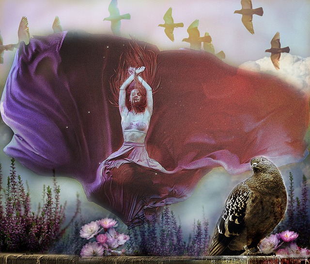 香港賽馬會 香港賽馬會