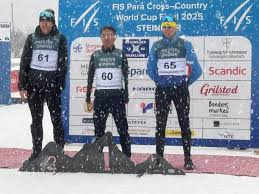 伏和不稳定 伏和不稳定