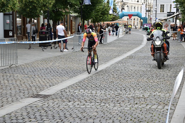 或缺的一员 或缺的一员