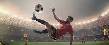 重组和适应 重组和适应